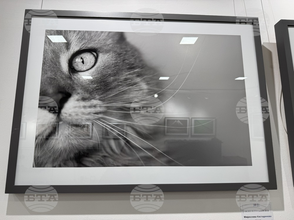 Казанлък - Осми фотографски салон - награда