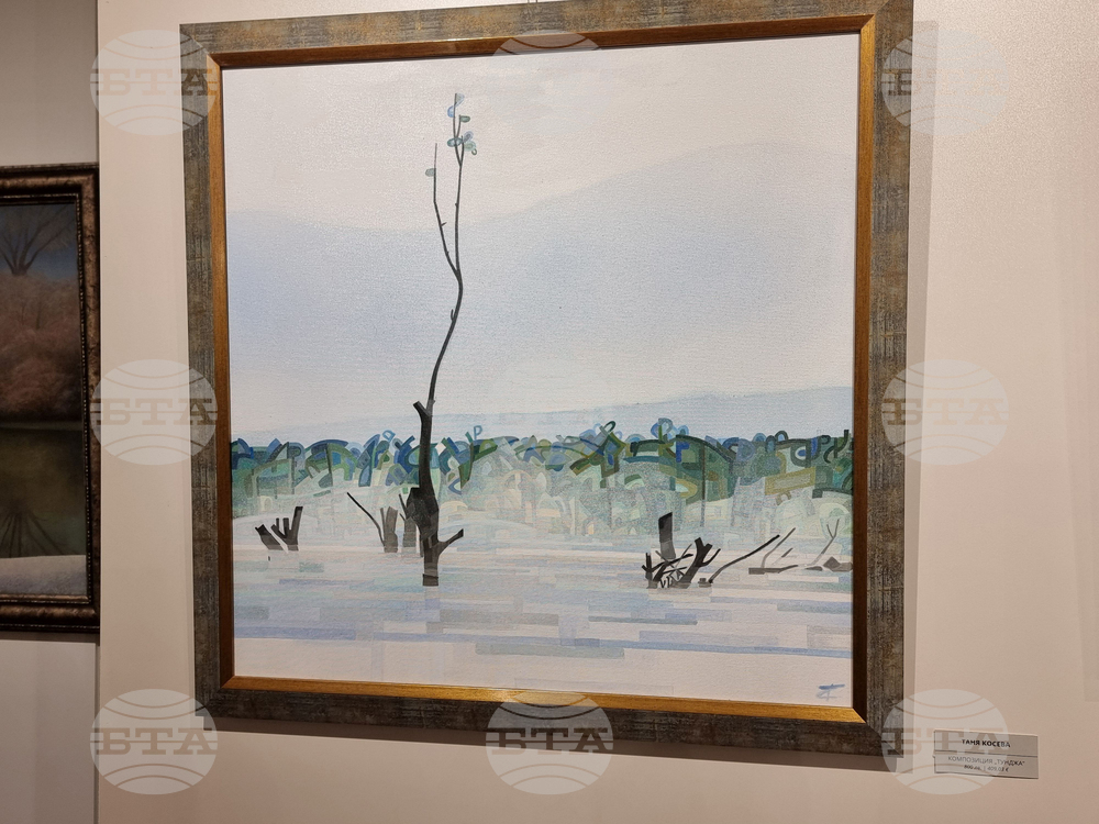 Ямбол - коледна изложба