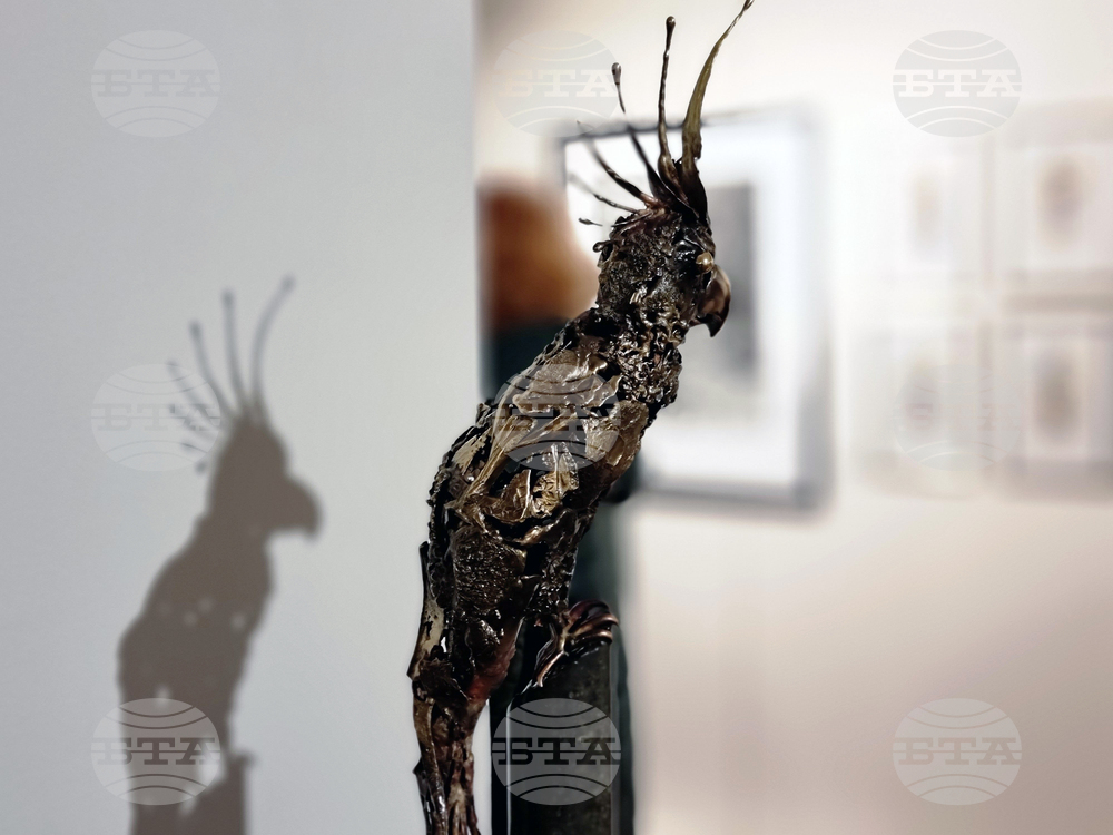 Ямбол - коледна изложба