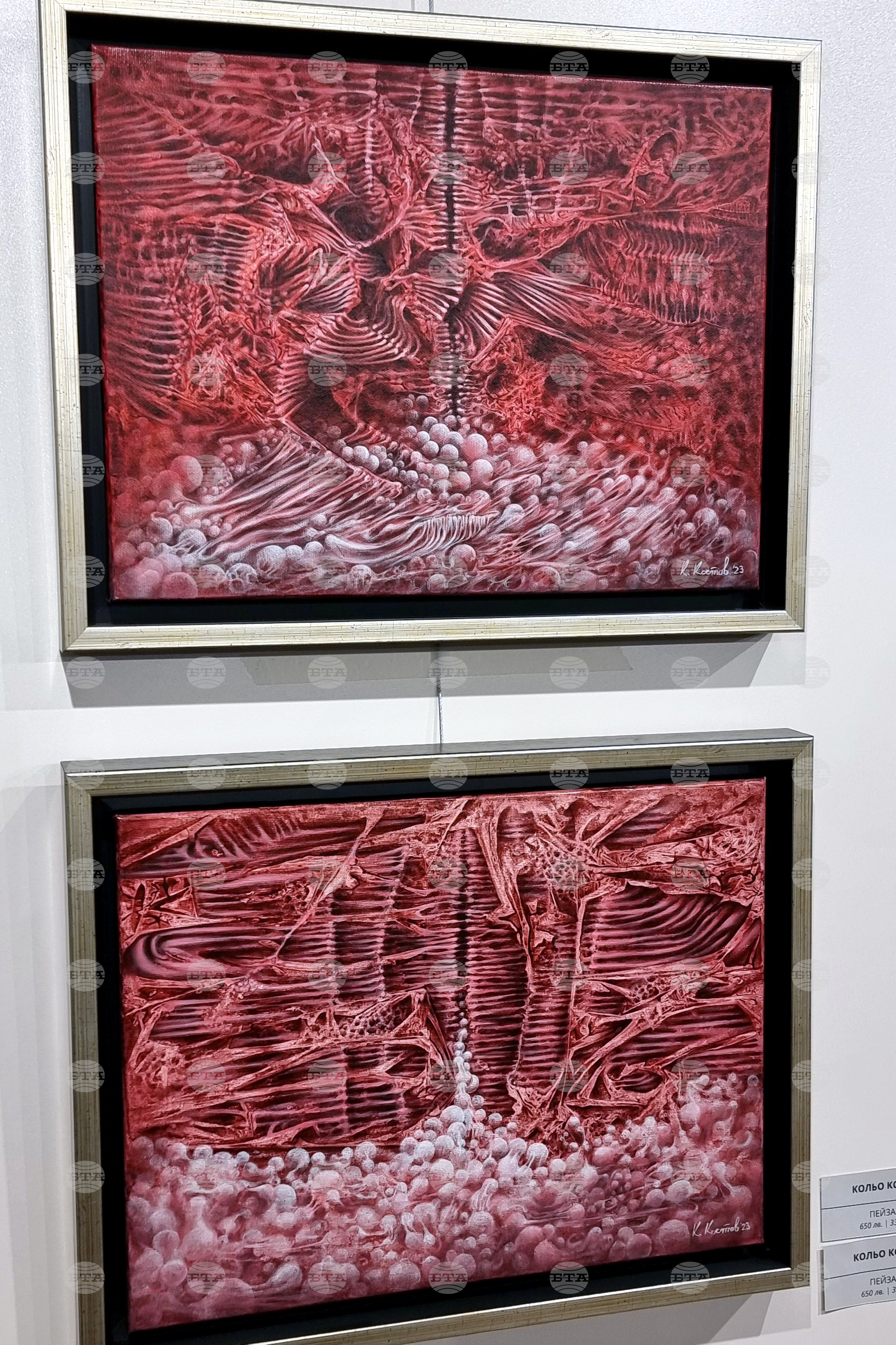 Ямбол - коледна изложба