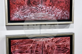 Ямбол - коледна изложба