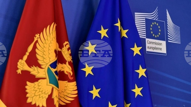 МИНА: Банковата система е силна и готова да отговори на глобалните предизвикателства, каза управителят на Централната банка на Черна гора