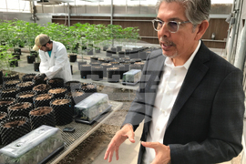 Election 2026 New Mexico Governor