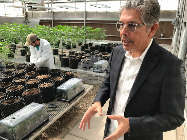 Election 2026 New Mexico Governor