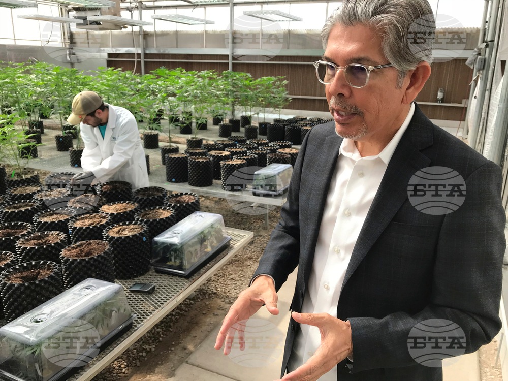 Election 2026 New Mexico Governor