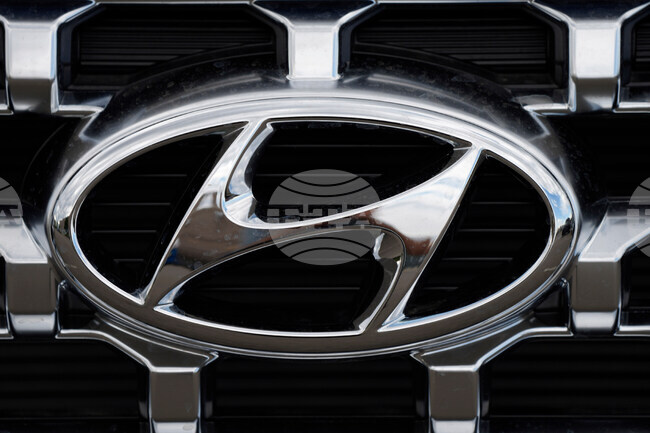 Automotive Investigation Security