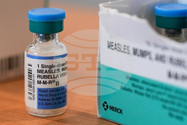 Education Measles Absenteeism