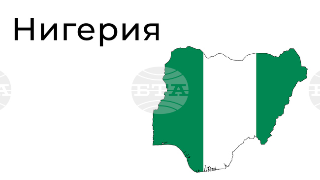 НАН: Участието във визови измами може да доведе до доживотна забрана за влизане в САЩ, предупреди посланикът на Вашингтон в Абуджа 