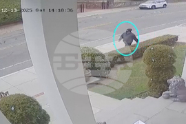 Brown University Shooting