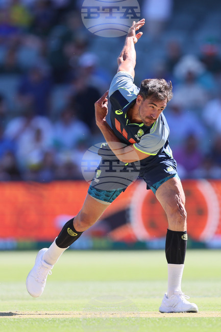 Australia England Cricket