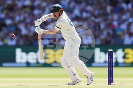 Australia England Cricket