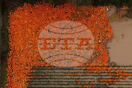 US Extreme Weather Washington