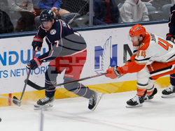 Ducks Blue Jackets Hockey