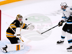 Mammoth Bruins Hockey