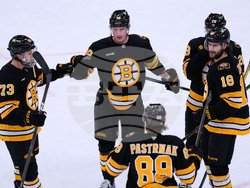 Mammoth Bruins Hockey