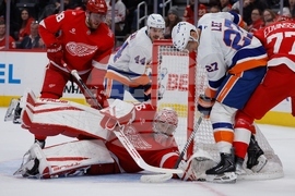 Islanders Red Wings Hockey