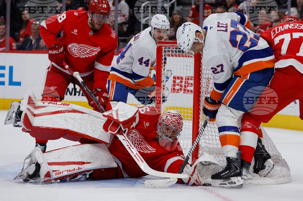 Islanders Red Wings Hockey