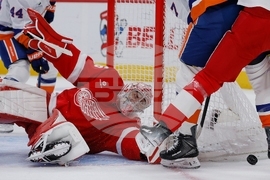Islanders Red Wings Hockey