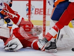 Islanders Red Wings Hockey