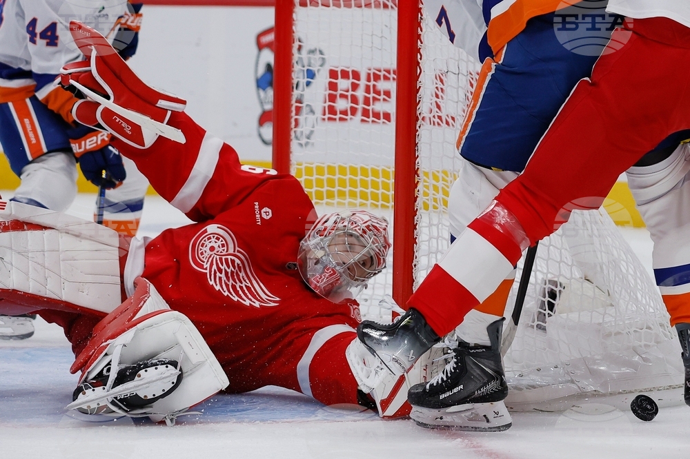 Islanders Red Wings Hockey