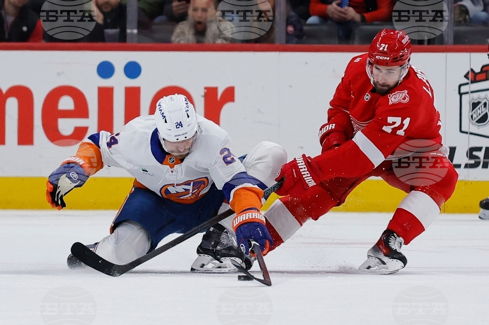 Islanders Red Wings Hockey