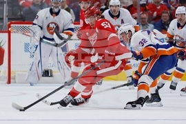 Islanders Red Wings Hockey