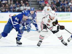 Blackhawks Maple Leafs Hockey