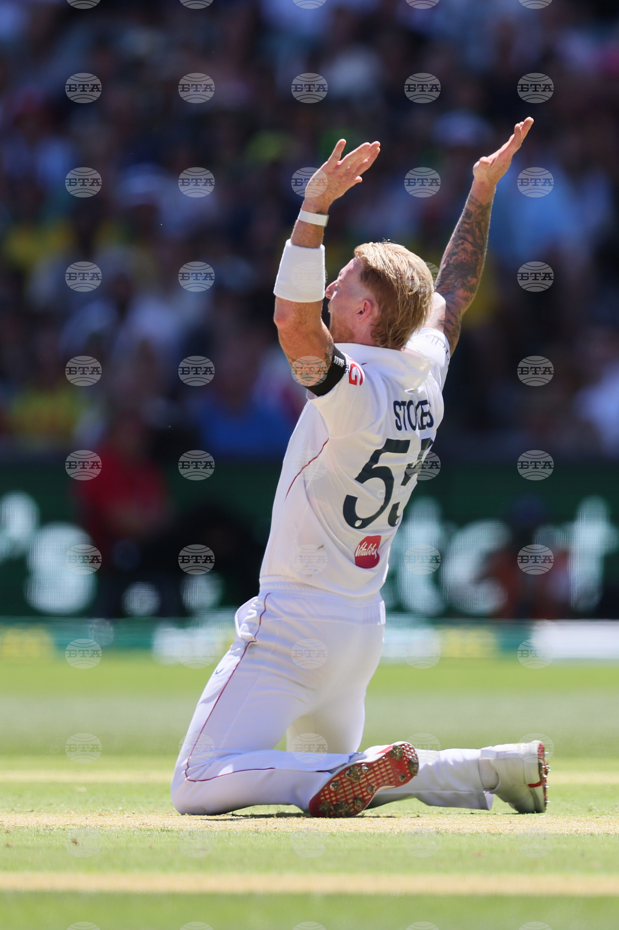 Australia England Cricket