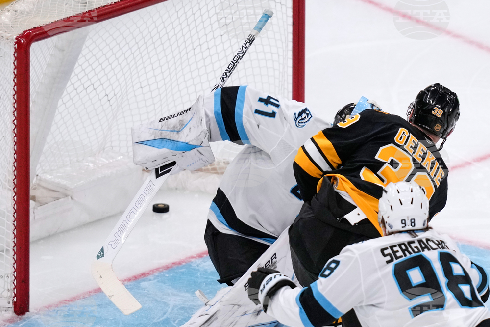 Mammoth Bruins Hockey