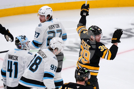 Mammoth Bruins Hockey