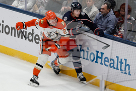 Ducks Blue Jackets Hockey