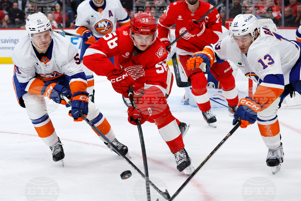 Islanders Red Wings Hockey