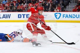 Islanders Red Wings Hockey