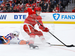 Islanders Red Wings Hockey