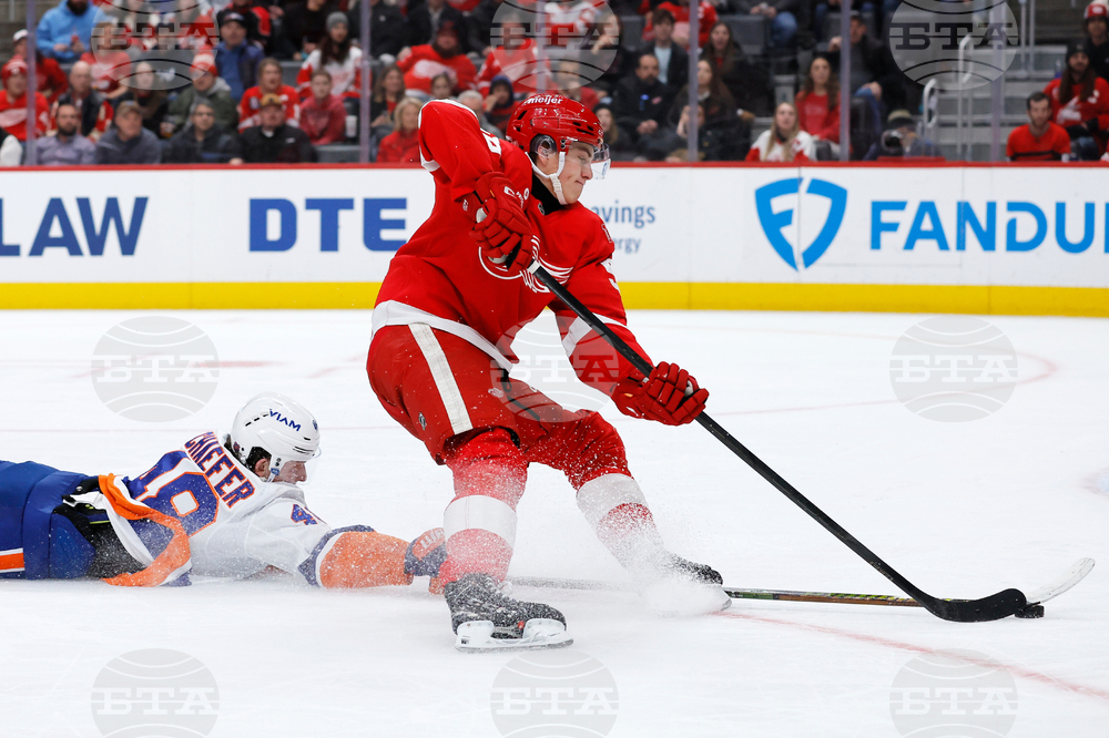 Islanders Red Wings Hockey