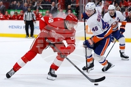 Islanders Red Wings Hockey