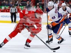 Islanders Red Wings Hockey