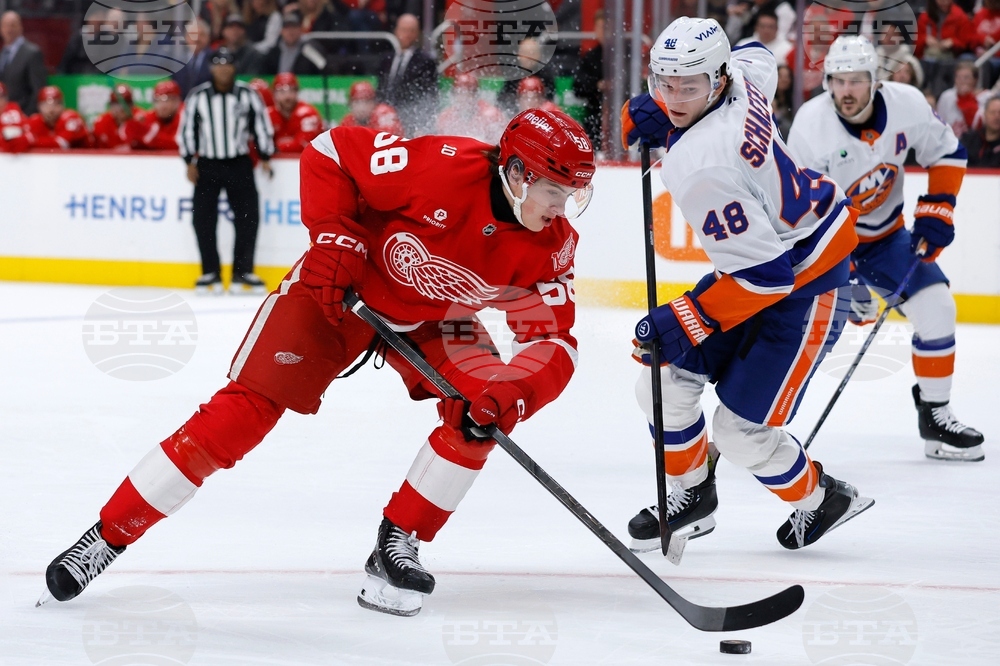 Islanders Red Wings Hockey