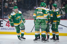 Capitals Wild Hockey