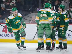 Capitals Wild Hockey