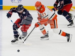 Ducks Blue Jackets Hockey