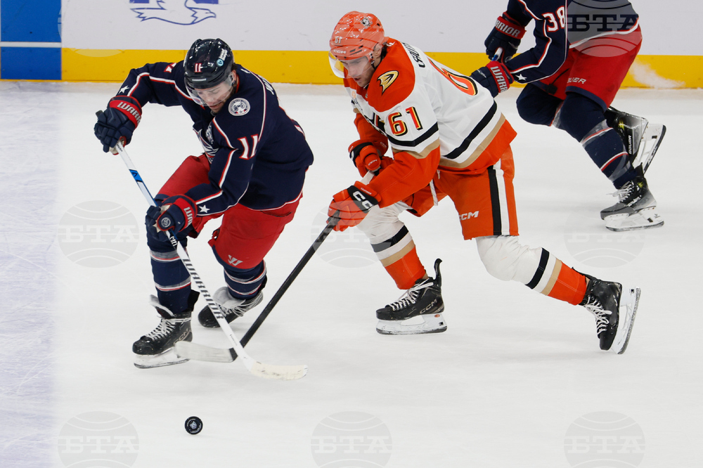 Ducks Blue Jackets Hockey