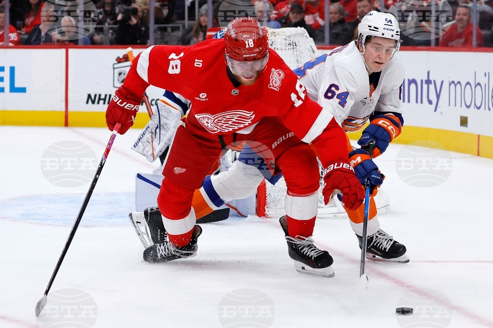 Islanders Red Wings Hockey