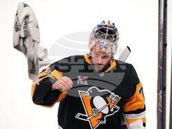 Oilers Penguins Hockey