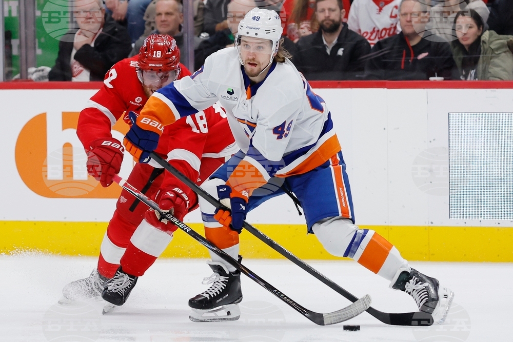 Islanders Red Wings Hockey