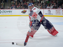 Capitals Wild Hockey