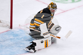 Mammoth Bruins Hockey