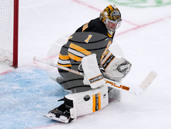 Mammoth Bruins Hockey