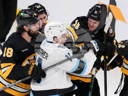 Mammoth Bruins Hockey