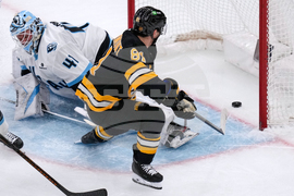 Mammoth Bruins Hockey